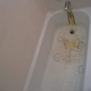 tub-resurfacing-chicago-bathtub-reglazing-chicago